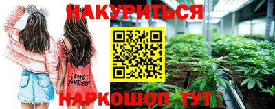 сатива Ирбит