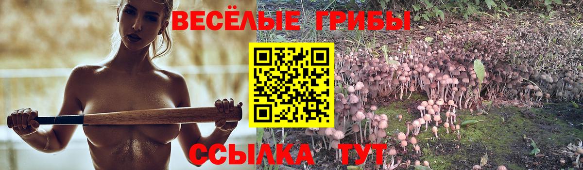 Псилоцибиновые грибы Psilocybe Луга