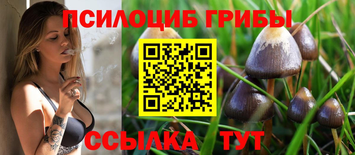 Галлюциногенные грибы MAGIC MUSHROOMS  Псилоцибиновые грибы Cubensis  Вход с VPN  Луга 